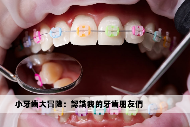 小牙齒大冒險：認識我的牙齒朋友們